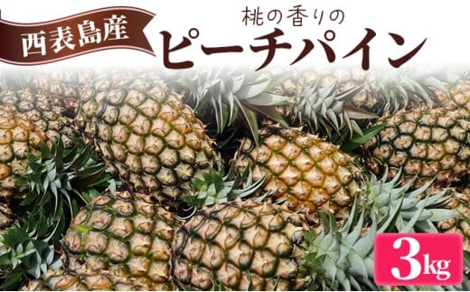 2026年 先行予約 ピーチパイン 約3kg (3～5玉) 桃の香り ますみ農園 パイン 果物 フルーツ パイン 005-a002_2026