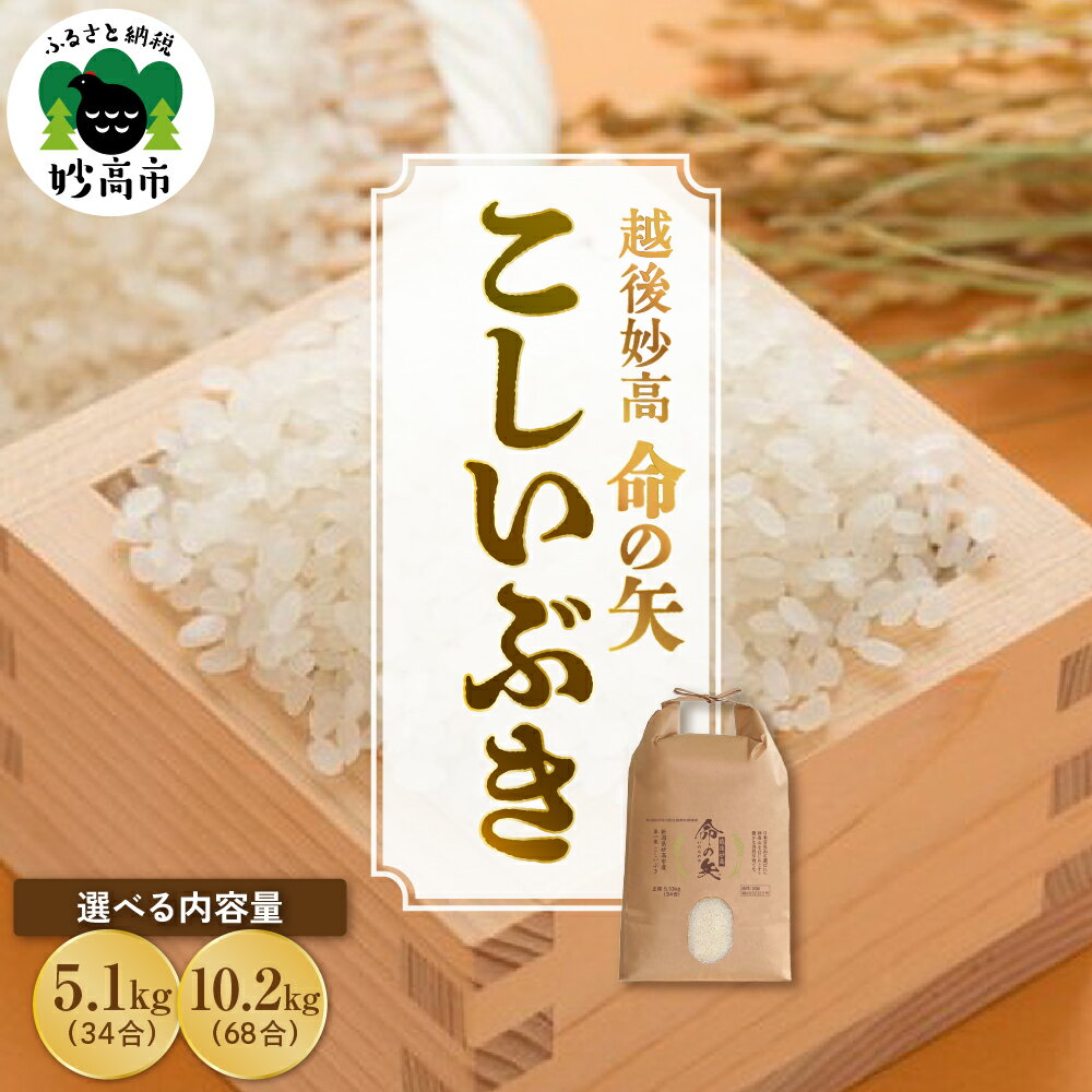【ふるさと納税】令和7年産 越後妙高命の矢 こしいぶき 選べる内容量 5.1kg 10.2kg 越後 妙高 新潟県 上越 妙高産 米どころ 白米 精米 コメ お米 こめ ご飯 ごはん ライス 弁当 小分け 大容量 お取り寄せ 送料無料 妙高市