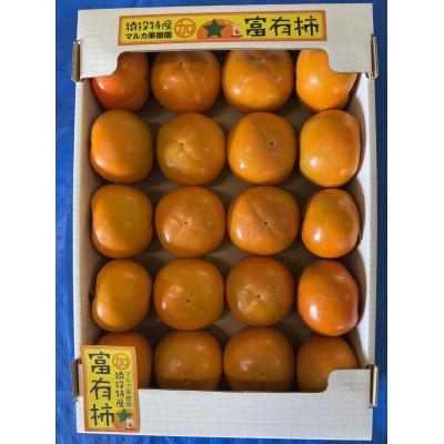 ふるさと納税 豊田市 《先行受付》富有柿　約4.6kg【2026年11月上旬以降順次発送】 |  | 01