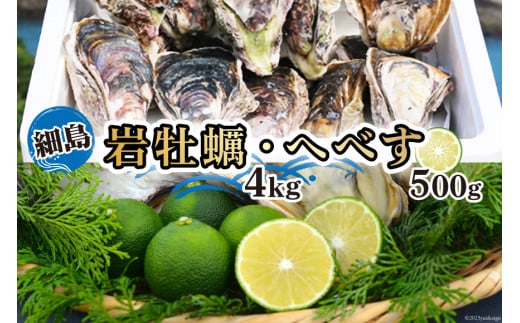 岩牡蠣 殻付き 細島 岩ガキ 約4kg 日向特産 へべす 500ｇ セット [道の駅日向 宮崎県 日向市 452060569] いわがき 岩がき 牡蠣 日豊海岸 濃厚 クリーミー