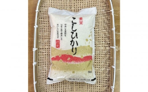 【ふるさと納税】お米　令和7年産　出雲コシヒカリ5kg
