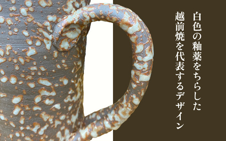 【父の日限定】【先行予約】越前焼 ビアマグ 志野 桐箱入り 光窯「陶土証明書あり」【2025年6月9日以降順次発送】【食器 酒 ビール コップ カップ マグカップ 父の日ギフト 電子レンジ 食洗機  
