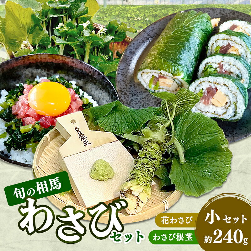 【ふるさと納税】旬の相馬 相馬わさび 小セット 約240g 薬味 野菜 食品 FAI-0040