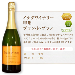 イケダワイナリー 甲州 ブラン・ド・ブラン（MG）A09-481【ワイン イケダワイナリー スパークリングワイン 甲州市 山梨県】