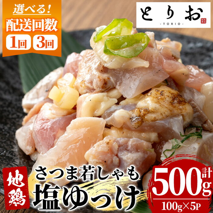 【ふるさと納税】＜配送回数を選べる！＞鹿児島地鶏 さつま若しゃも 塩ゆっけ(100g×5P・計500g×1回/3回) 国産 鹿児島県産 鶏肉 鳥肉 地鶏 地どり 鳥刺し 鶏刺し タタキ たたき ユッケ 冷凍 刺身 定期便 おつまみ 晩酌 【野元商店】