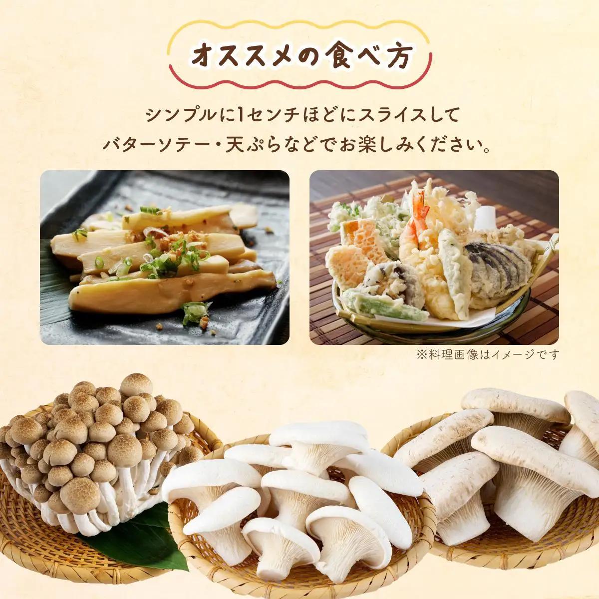 食欲の秋！きのこの詰め合わせ(ぶなしめじ・ゆきれいたけ・王リンギ各5パック)　AT17