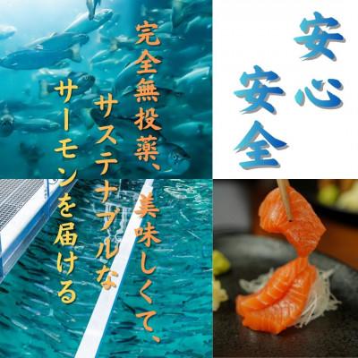 ふるさと納税 西桂町 【国産】富士山麓で育った「富士頂純サーモン」の塩こうじ漬け(焼き魚用)1パック4切れ入り |  | 03