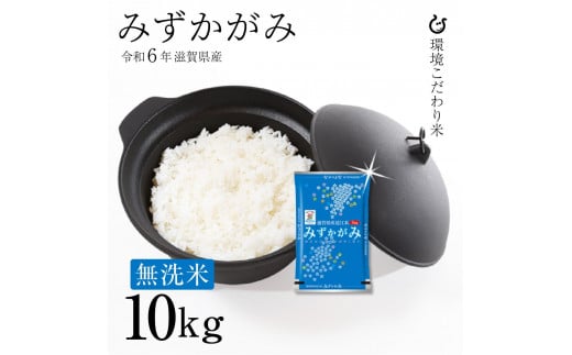 新米 令和6年 滋賀県産 ★★無洗米★★ みずかがみ 白米10kg（5kg×2袋）