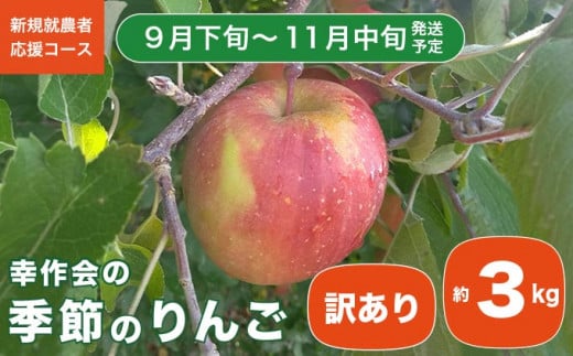 【訳あり】 季節のりんご 約3kg ［新規就農者応援コース 幸作会］ 果物 フルーツ りんご 林檎 リンゴ 長野県産 信州産  令和6年産【2024年9月下旬～11月中旬発送】 ［KH-51］