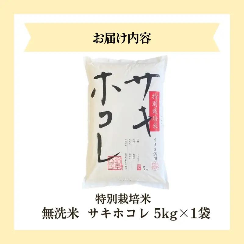 予約開始 サキホコレ 無洗米 5kg 令和8年度産