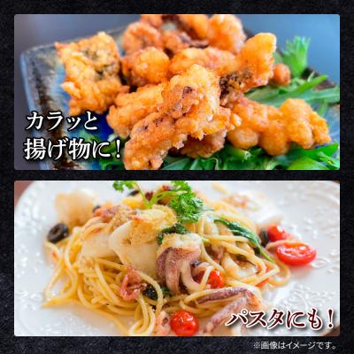 ふるさと納税 田野町 【四国一小さなまち】アオリイカのゲソ★2kg★(500g×4パック) |  | 02