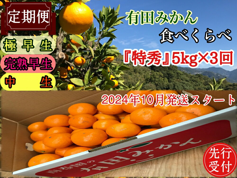 【ふるさと納税】【定期便】(先行受付2025年10月発送スタート)【特秀5kg×3回コース】有田みかん・食べくらべ3種【南泰園】 ※2025年10月中旬～2026年1月下旬頃に順次発送予定 ※着日指定不可【ミカン 蜜柑 柑橘 温州みかん 和歌山 有田】