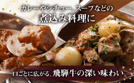 【スネ肉】飛騨牛 カレーシチュー用 500g スネ肉等