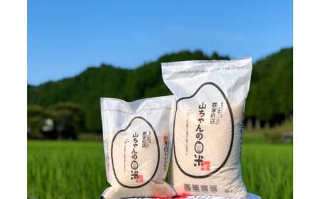 令和7年度産 農家直送「山ちゃんのお米」ミルキークイーン5kg【10月1日発送開始】