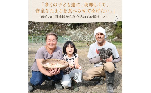 土佐ジロー6個×1P(4回 ) うらにわ自然たまご園