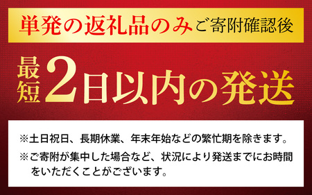 キリン SPRING VALLEY BREWERY 豊潤ラガー496 500ml×24缶 | クラフトビール スプリングバレー豊潤