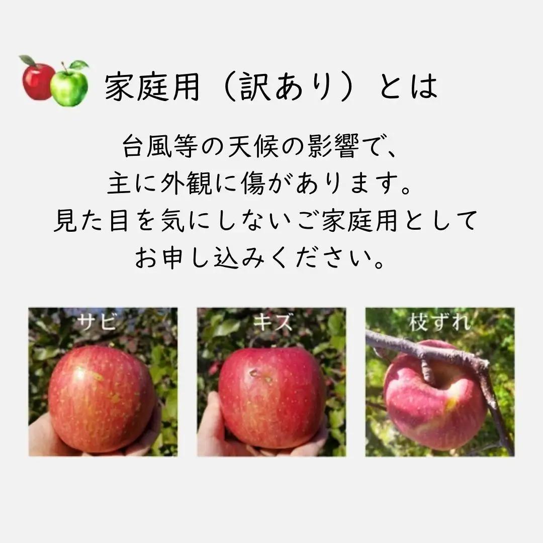 KR18 サンふじ 家庭用 小玉 約5kg（17～20玉） 長野県松川町産／11月下旬頃～配送予定//長野県 南信州 リンゴ 林檎 ふじ さんふじ 小玉サイズ 訳あり 自家用 農家直送 農家支援 産地