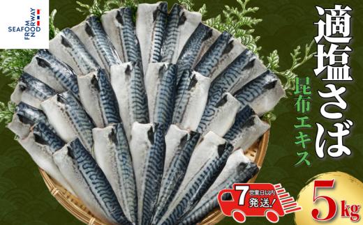 【 スピード配送 】 適塩さば 昆布エキス入り 約5kg 千葉県 銚子市さば 鯖 適塩 適塩サバ 適塩鯖 さばフィーレ 鯖フィーレ さばフィレ 鯖フィレ 切り身 切身 昆布エキス 食べやすい 小分け 個別冷凍 お弁当 惣菜 おかず 料理 冷凍 冷凍品 長期保存 保存食 鮮度 旨味 お取り寄せ グルメ 食品 魚 魚貝 大容量 ギフト 贈物 贈り物 プレゼント 海鮮 ふるさと納税 エドノフーズ