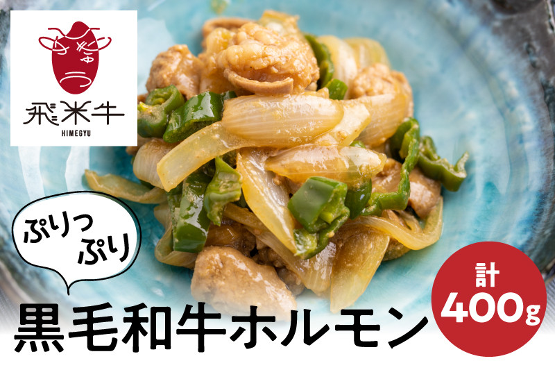 
                  ＜8月から寄附額改定＞《簡易包装》飛米牛味付けホルモン 計400g 200g×2パック個包装 焼肉 BBQ バーベキュー
                
