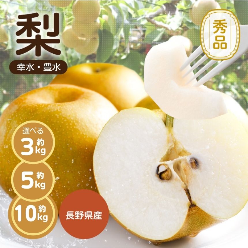 【ふるさと納税】【2026年予約販売】溢れる 果汁 ジューシー な 梨 幸水 豊水 秀品 選べる 容量〈2026年8月下旬～9月中旬発送〉| 果物 くだもの フルーツ 梨 和梨 幸水 豊水 長野県 信州 南信州 飯田市