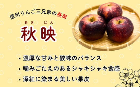【先行予約】 【訳あり】 秋映 （あきばえ） 【約3kg(6-14玉)】 規格外 (7-A26-1) 長野県 飯山市 おすすめ ランキング おいしい 高評価 大人気 訳あり 規格外 不揃い リンゴ り