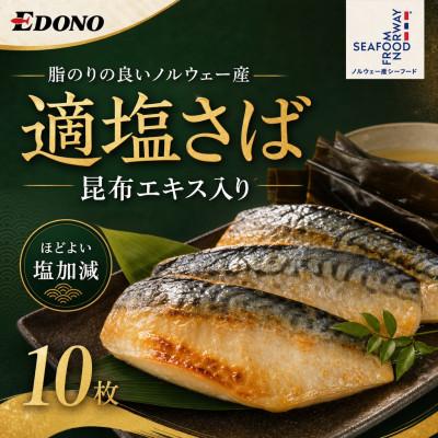 ふるさと納税 銚子市 適塩さば 昆布エキス入り 10枚