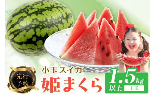 【先行予約】小玉スイカ 姫まくら 1玉（1.5kg以上）（2026年7月上旬～発送）小玉 こだま 西瓜 すいか 人気 フルーツ 果物 　BF00007