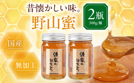 はちみつ 野山蜜 500g ×2本 [AJAS005] はちみつ 国産
