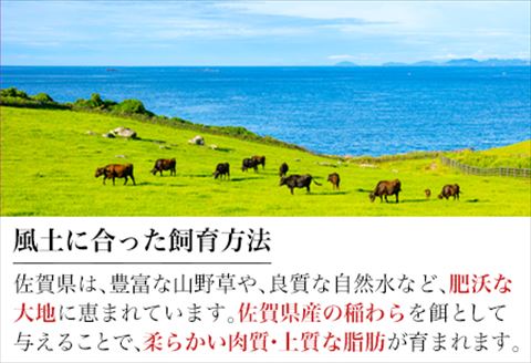 佐賀牛切り落とし 500g (佐賀牛ウデ モモ バラ肉のいずれか) すき焼き しゃぶしゃぶ ギフト「2023年 令和5年」