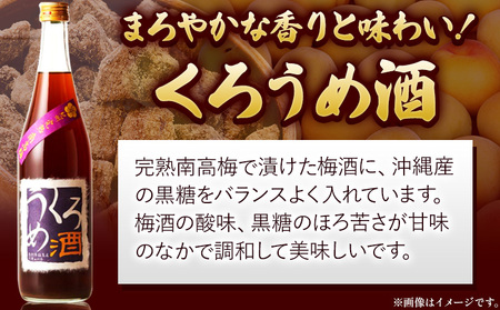 梅酒3回定期便セット 紀州完熟南高梅 すいうめ酒 くろうめ酒 720ml×各1本 3回 定期便 計3本 酒のねごろっく《30日以内に出荷予定(土日祝除く)》和歌山県 岩出市 酒 梅酒 紀州 梅すいうめ