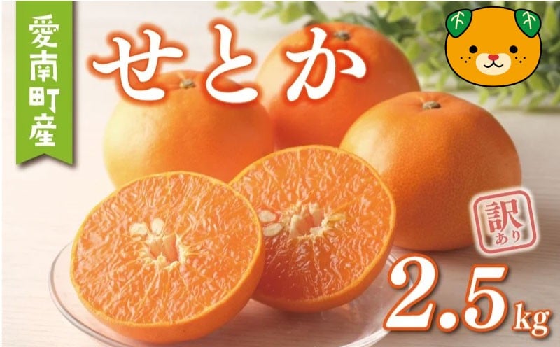 
                  数量限定 先行予約 訳あり せとか 2.5kg 7000円 わけあり setoka 高級 人気 ブランド プレミアム 産地直送 農家直送 愛媛 みかん mikan 蜜柑 ミカン 国産 期間限定 特産品 ゼリー ジュース アイス 等に 人気 お取り寄せ 限定 フルーツ 果物 柑橘 甘い おいしい ジューシー 小玉 含む サイズ ミックス 果樹園みどり 愛南町 愛媛県
                