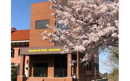 「大山Ｇビール　飲み比べ１０本セット」　ＹＧ−１０