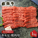 【ふるさと納税】白川郷 飛騨牛 カルビ（バラ肉）焼肉用 1kg ブリスケット 牛肉 国産 焼き肉 A4等級以上 A4 A5 等級 高山米穀 岐阜県 白川村 贅沢 冷凍 30000円 3万円 [S337]