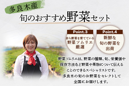 【数量限定】野菜ソムリエ 監修 旬の おすすめ 野菜 セット ４?5品 (1?2名様向け) 野菜 獲れたて 直送 旬 熊本県 多良木町 調味料 024-0801