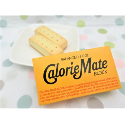 ふるさと納税 那賀町 「大塚製薬」カロリーメイトブロック　2本入り　チーズ味　20箱