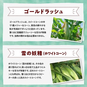 【3回定期便】※令和8年発送※ 大山さんちのスイートコーン3種（4.5kg） 【 先行予約 数量限定 期間限定 スィートコーン 2026年発送 先行受付 宮崎県産 九州産 定期便 】
