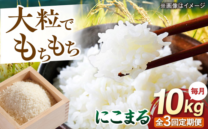 【全3回定期便】 にこまる 玄米品質1等米 白米 10kg 糸島市産 糸島市 / 糸島の恵み コメ こめ ご飯 [AGR011]