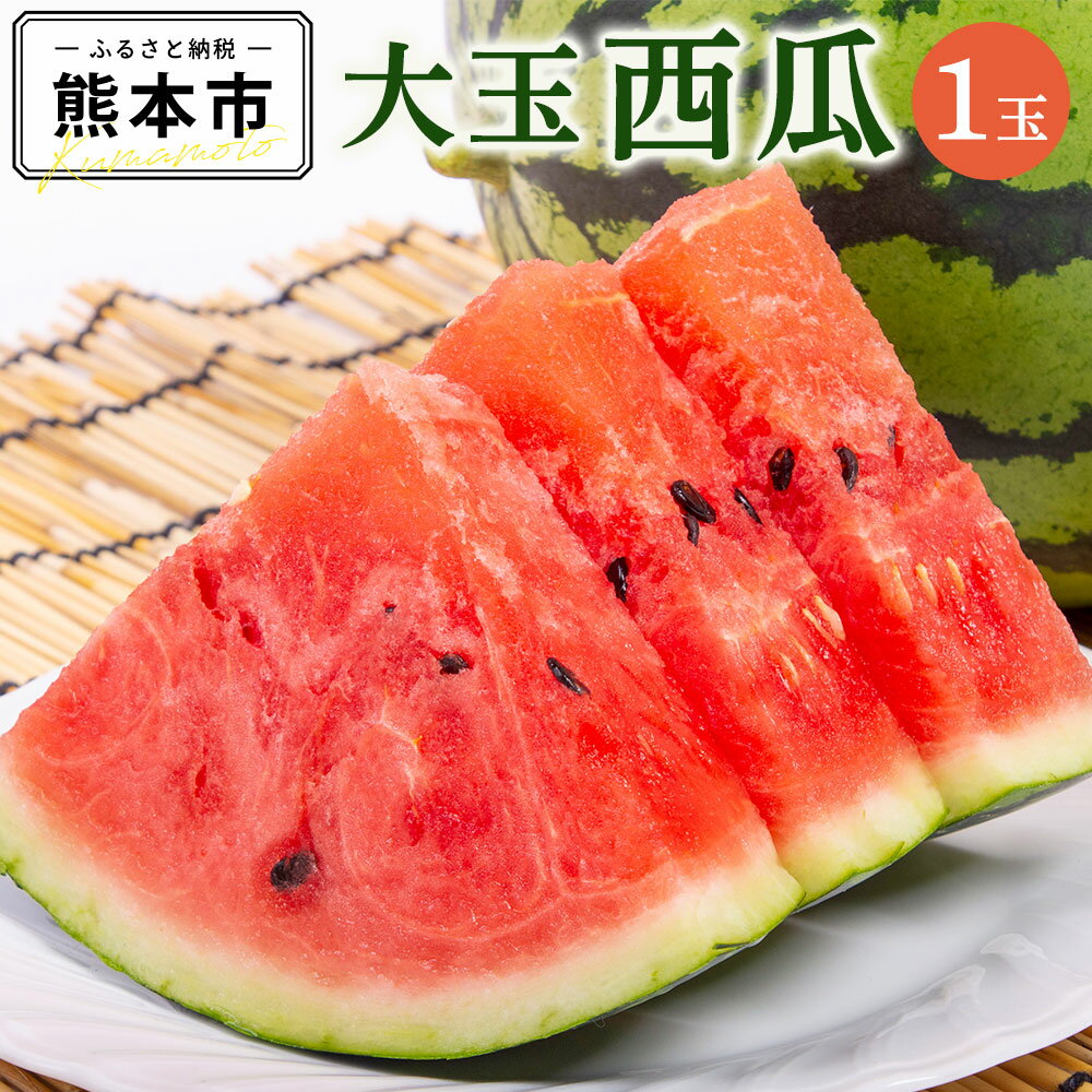 【ふるさと納税】 大玉 西瓜 1玉 8kg以上 すいか スイカ 西瓜 くだもの 果物 フルーツ 先行予約 熊本市産 熊本県産 九州産 国産 送料無料 【2025年5月上旬～7月上旬発送予定】