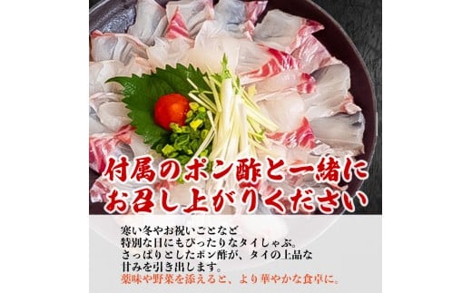 タイ しゃぶしゃぶ タイしゃぶ スライス 3パック  新鮮 国産 鰤 約 630g 以上 たい セット 冷凍 しゃぶ 鯛 お鍋 年末 年始 大晦日 正月 高知県 須崎市 高知 YI006
