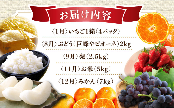 【5回定期便】厳選フルーツ＆旬のお米定期便（ いちご ぶどう 梨 お米 みかん ）/ イチゴ 苺 ブドウ 葡萄 なし ナシ 米 コメ こめ 白米 ミカン 蜜柑 フルーツ ふるーつ 果物 くだもの フル