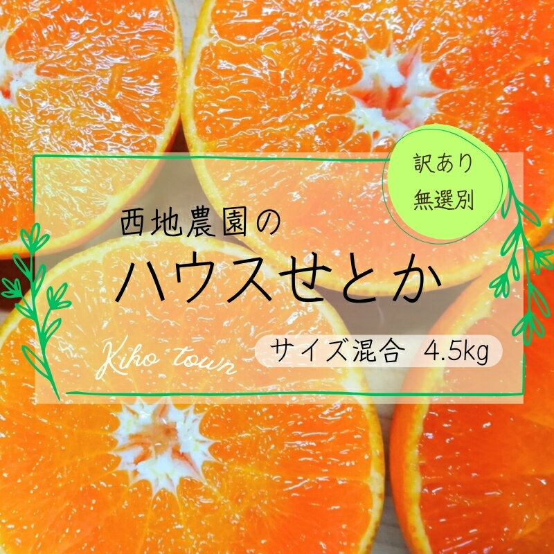 【ふるさと納税】 ご家庭用 訳あり せとか 西地農園の ハウスせとか 4.5kg M〜4L サイズ混合 無選別【2026年2月中旬から順次発送】 手選別 ハウスせとか みかん ミカン 蜜柑 柑橘 果物 くだもの フルーツ 産地直送 訳あり 訳アリ 家庭用 産地直送 送料無料