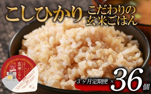 定期便 3回 こしひかり 玄米ごはんパック 120g 36個 玄米 米 お米 ごはん ご飯 こめ パックライス パックご飯 パックごはん ご飯パック ごはんパック パック ライス 備蓄 保存 非常 防災 電子 レンジ 温めるだけ レンチン 簡単 健康 ダイエット 美容 ヘルシー 36 36食 レトルト インスタント おいしい 人気 おすすめ 大阪 松原