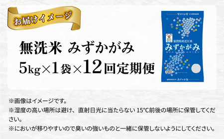 【先行予約】【令和７年産新米早期予約　毎月定期配送・計12回】 BG無洗米みずかがみ5kg×12回【2025年10月以降毎月お届け】[P-00403] / 無洗米 無洗米 無洗米 無洗米 無洗米