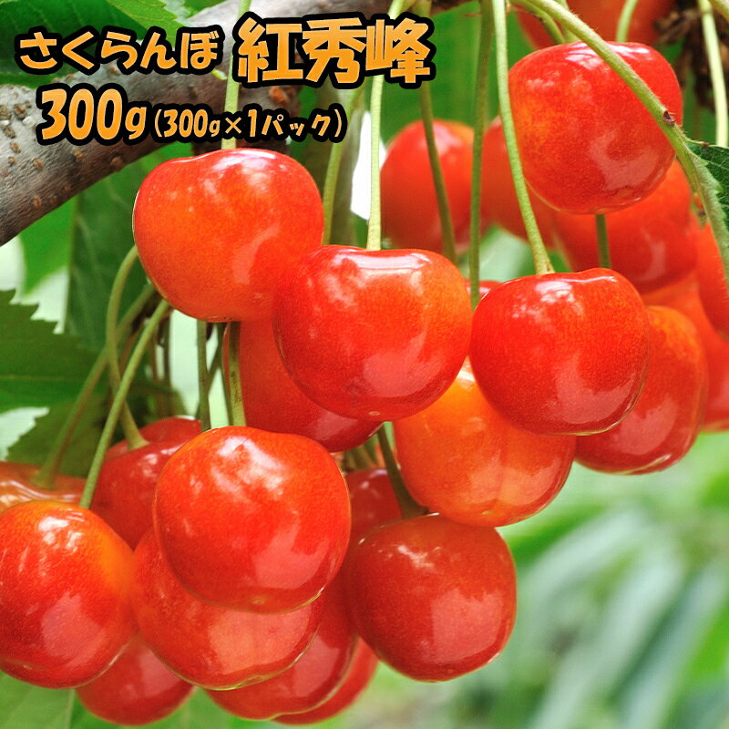 【ふるさと納税】[先行受付] 容量が選べる 300g～1.6kg北海道 仁木町産 さくらんぼ 紅秀峰 果物類 くだもの フルーツ サクランボ チェリー [JA新おたる]　お届け：2025年7月～23日まで
