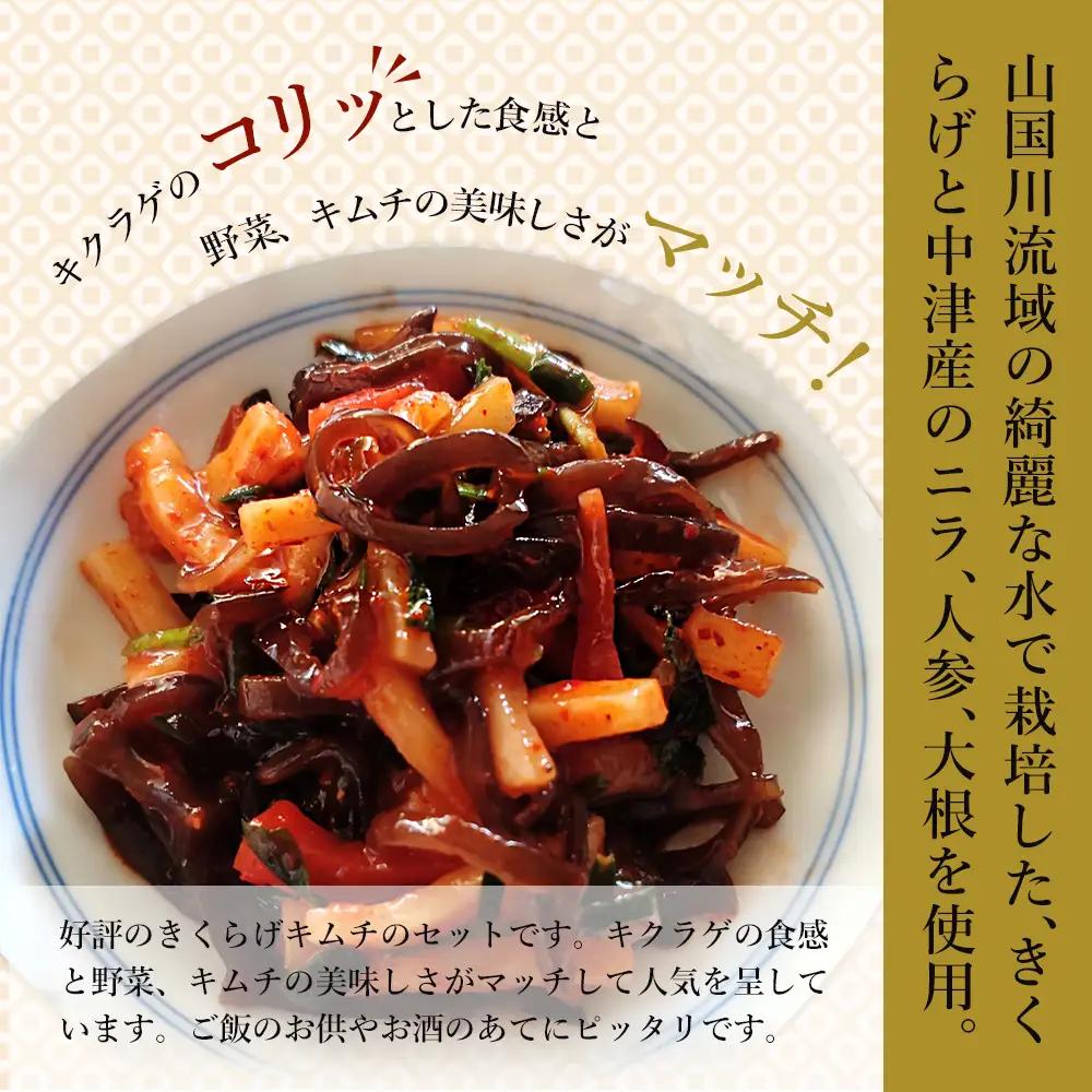 【数量限定】きくらげキムチ150g×4個セット | きくらげ キムチ 木耳 おつまみ 佃煮 ご飯のお供 惣菜 旨辛 ピリ辛 おかず 簡単おかず 常備菜 野菜 発酵食品 大分県 中津市