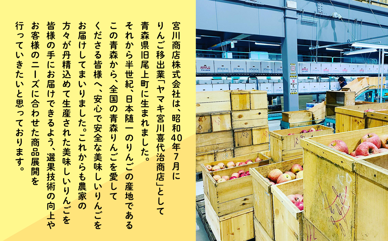 12月発送 【特選】サンふじ5㎏【りんご・青森・平川・特選・宮川商店・11月・12月・1月・2月・3月・4月】