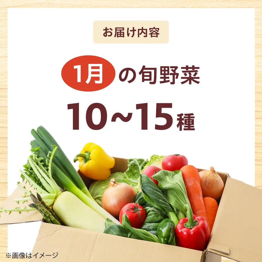高槻野菜おまかせ詰め合わせセット 1月（10種〜15種）[AOCS007] 野菜セット