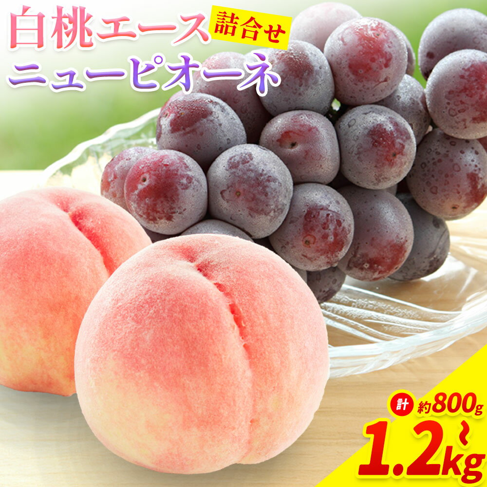 【ふるさと納税】【2026年先行予約】岡山県産 岡山白桃 エース L~ 3Lサイズ ニューピオーネ 選べる 計 800g 1kg 1.2kg 詰合せ 株式会社 はちや《2026年7月上旬‐8月下旬頃出荷》もも 岡山 国産 フルーツ 果物 岡山県 浅口市 フルーツ モモ 果物【配送不可地域あり】