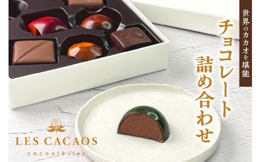 LES CACAOS　レ・カカオ　チョコレート詰め合わせ