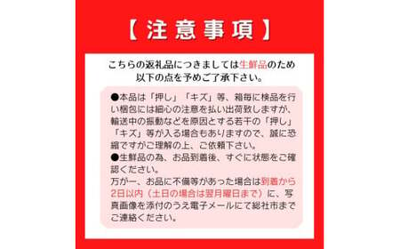 白桃「冬桃がたり（1.35kg箱）」岡山県総社市産【2025年産先行予約】25-037-002